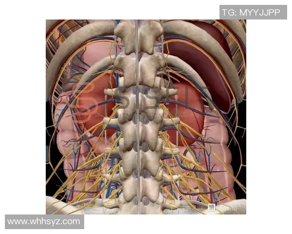 姚明身高与心脏健康的关系探讨及其对运动员的影响分析